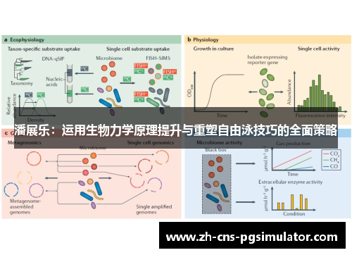 潘展乐：运用生物力学原理提升与重塑自由泳技巧的全面策略