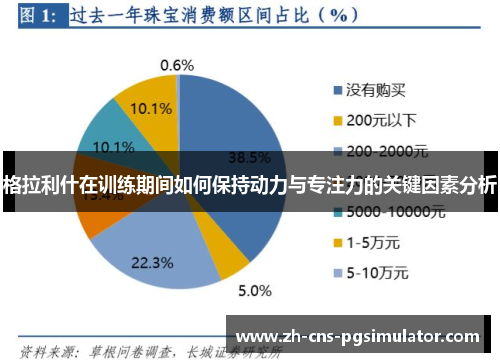 格拉利什在训练期间如何保持动力与专注力的关键因素分析