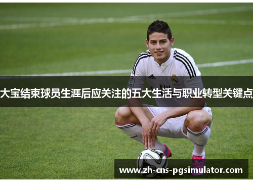 大宝结束球员生涯后应关注的五大生活与职业转型关键点