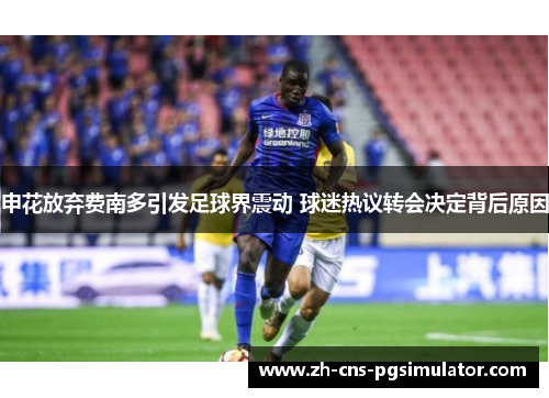 申花放弃费南多引发足球界震动 球迷热议转会决定背后原因