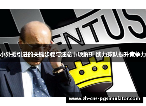 小外援引进的关键步骤与注意事项解析 助力球队提升竞争力