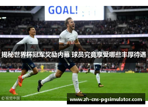 揭秘世界杯冠军奖励内幕 球员究竟享受哪些丰厚待遇