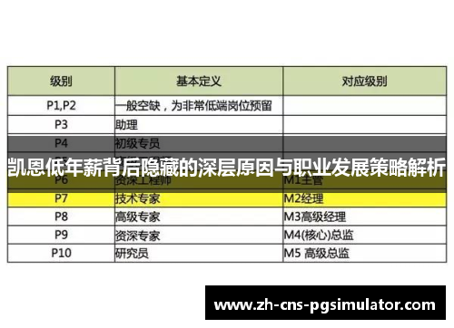 凯恩低年薪背后隐藏的深层原因与职业发展策略解析