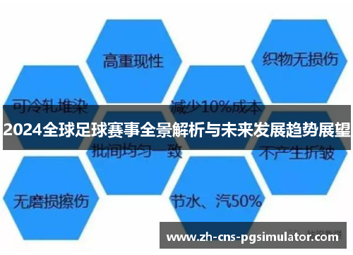 2024全球足球赛事全景解析与未来发展趋势展望