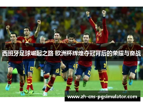 西班牙足球崛起之路 欧洲杯辉煌夺冠背后的荣耀与奋战