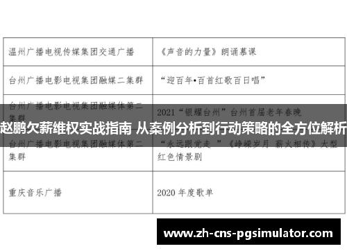 赵鹏欠薪维权实战指南 从案例分析到行动策略的全方位解析 赵鹏欠薪维权实战指南 从案例分析到行动策略的全方位解析