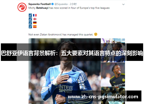 巴舒亚伊语言背景解析：五大要素对其语言特点的深刻影响