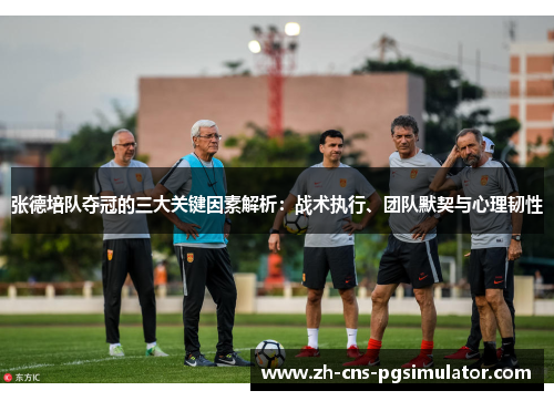 张德培队夺冠的三大关键因素解析：战术执行、团队默契与心理韧性