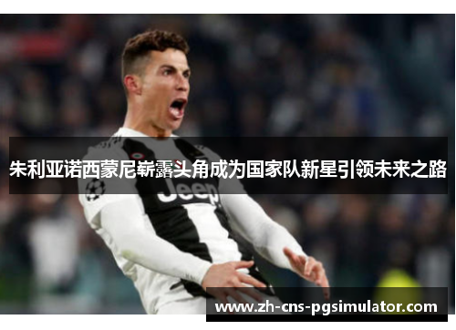 朱利亚诺西蒙尼崭露头角成为国家队新星引领未来之路